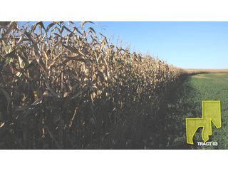 Property photo 7 - 1,153 +/- Acres offered in 15 TractsLAND AUCTION